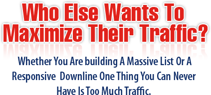  Get Free Website Traffic From Max Traffic Pro